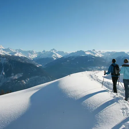 Parc 2 By Interhome * Crans-Montana